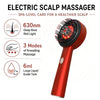 Electric Scalp Massage Comb with Serum Applicator